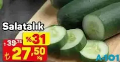 SALATALIK KG SALATALIK KG